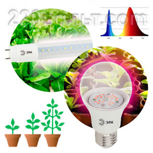 Лампы для растений и животных
